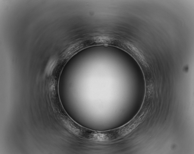 X0000100850265200806271142