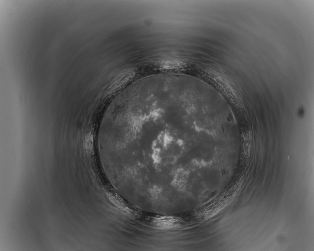 X0000100850269200806271142