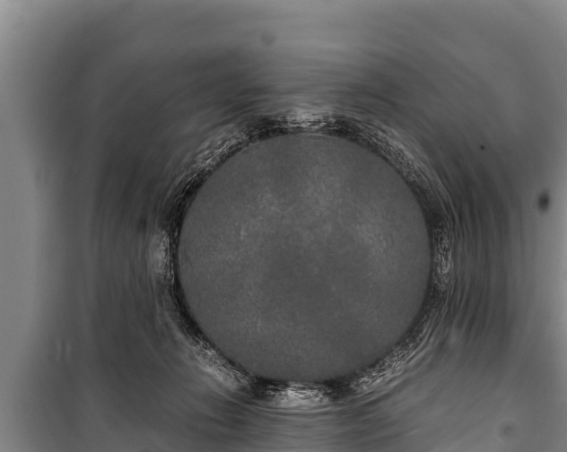 X0000100850270200806271142