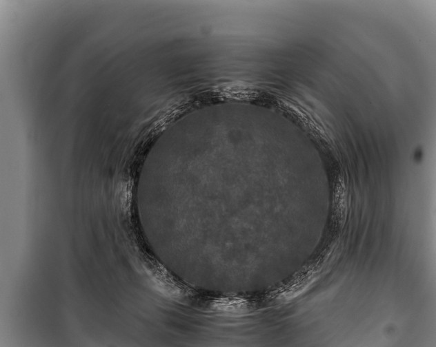 X0000100850271200806271142