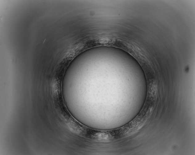 X0000100850272200806271143