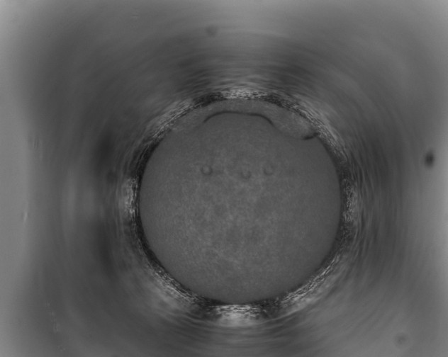 X0000100850273200806271143