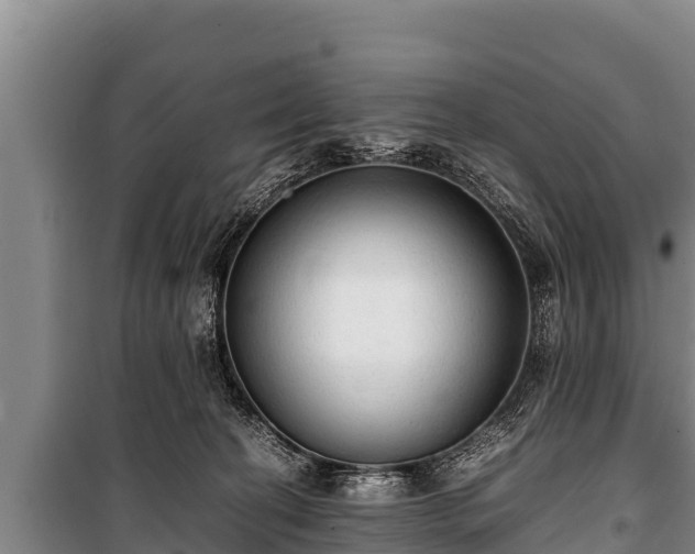 X0000100850274200806271143