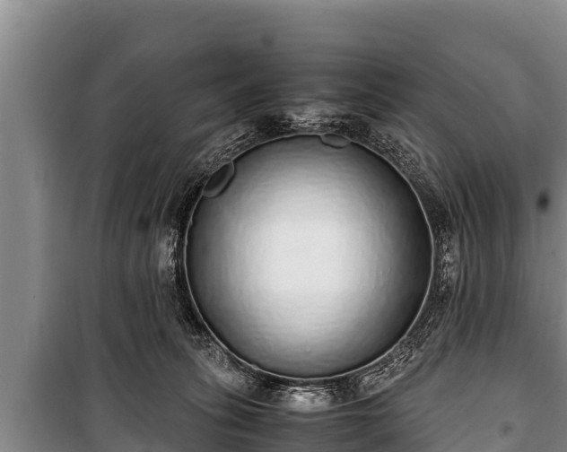 X0000100850275200806271143