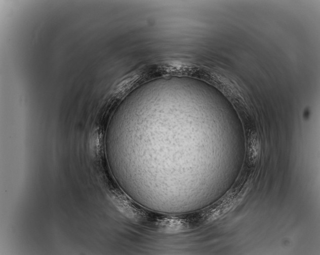 X0000100850276200806271143