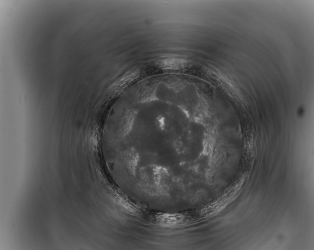 X0000100850277200806271143