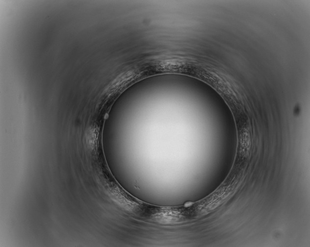 X0000100850278200806271143