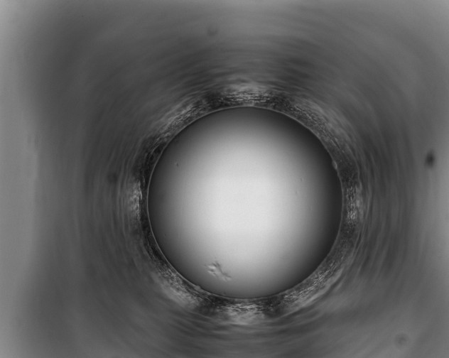 X0000100850279200806271143