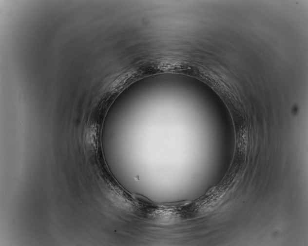 X0000100850280200806271143