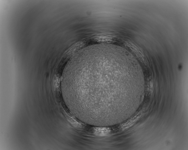 X0000100850281200806271143