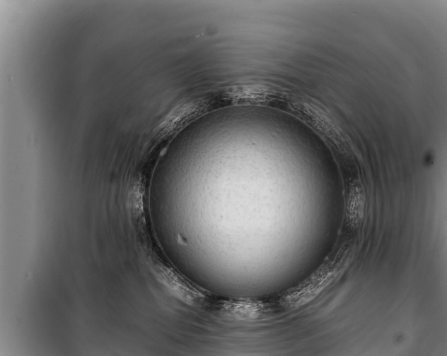 X0000100850282200806271143