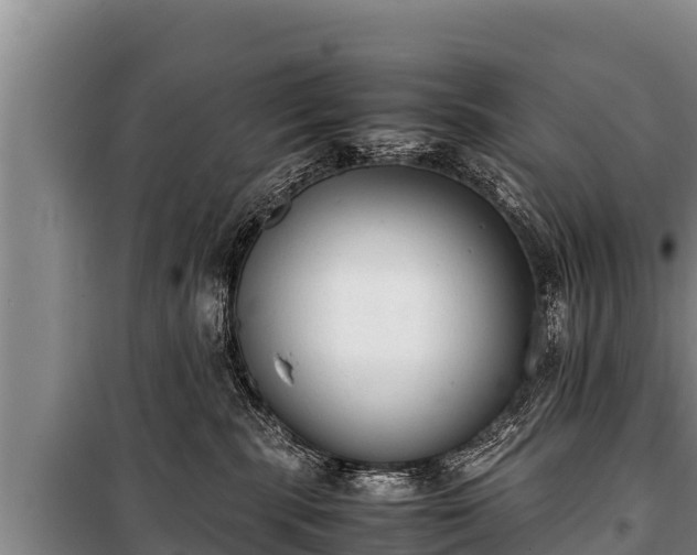 X0000100850283200806271143