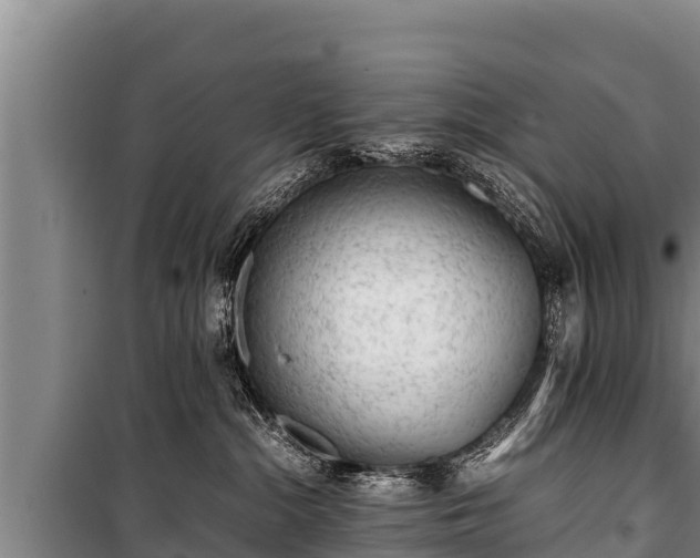 X0000100850284200806271143