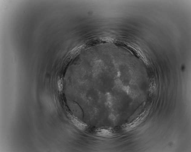 X0000100850285200806271143