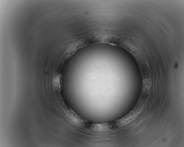 X0000100850286200806271143