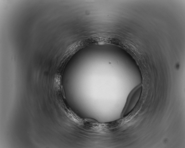 X0000100850288200806271143