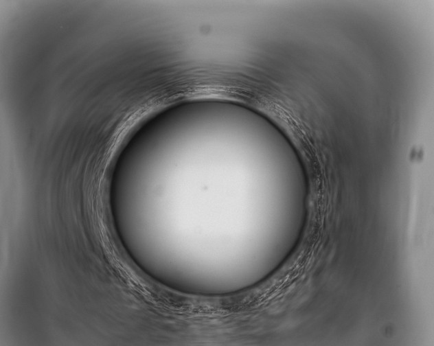 X0000100850289200806271142