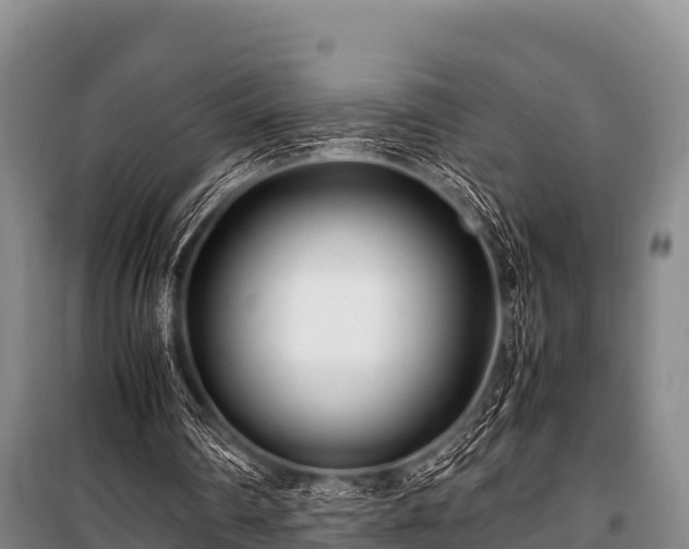 X0000100850290200806271142