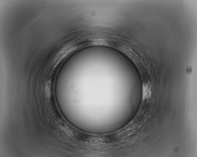 X0000100850291200806271142