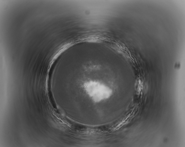 X0000100850292200806271142