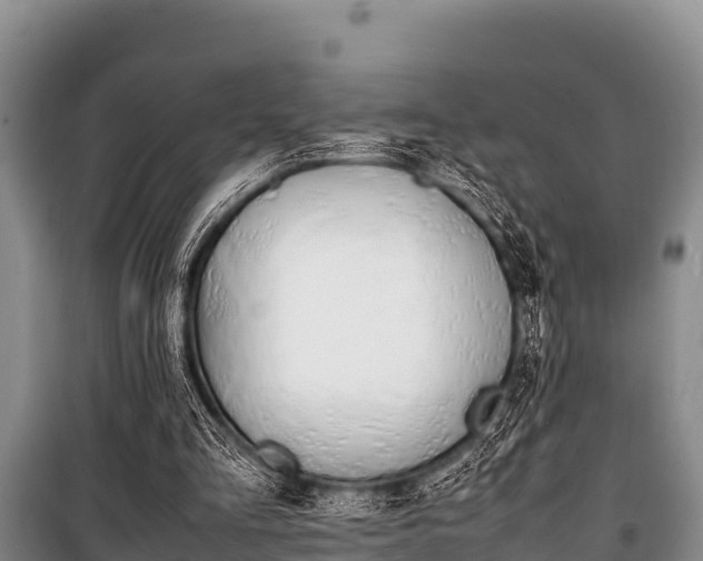 X0000100850293200806271142