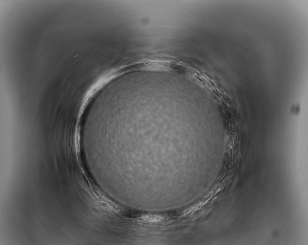 X0000100850294200806271142