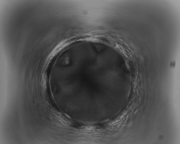 X0000100850295200806271142