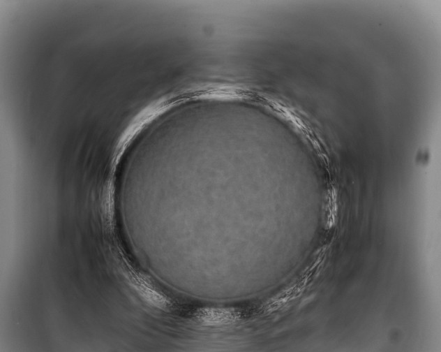 X0000100850296200806271142