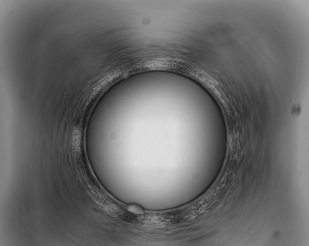 X0000100850297200806271142