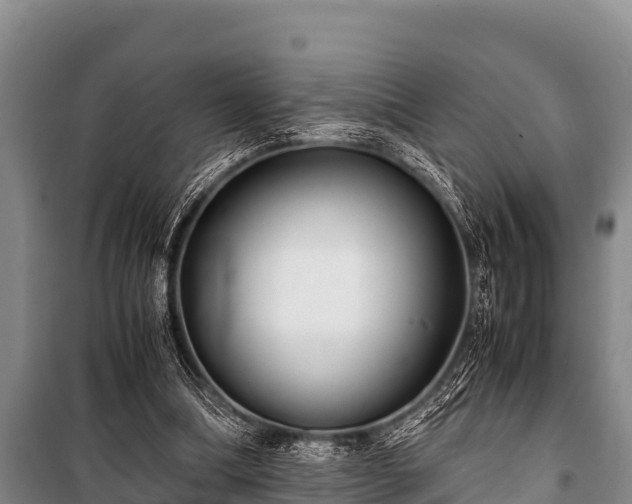 X0000100850298200806271142