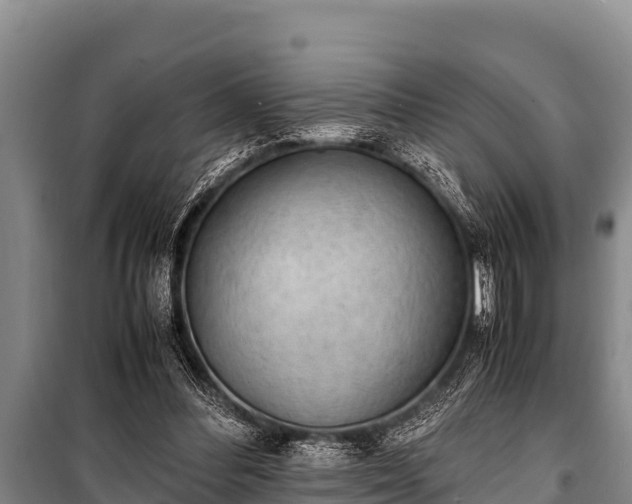 X0000100850300200806271142