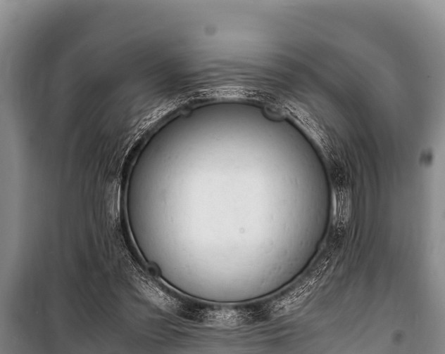 X0000100850301200806271142