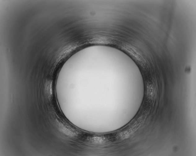 X0000100850302200806271142