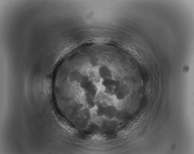 X0000100850303200806271142