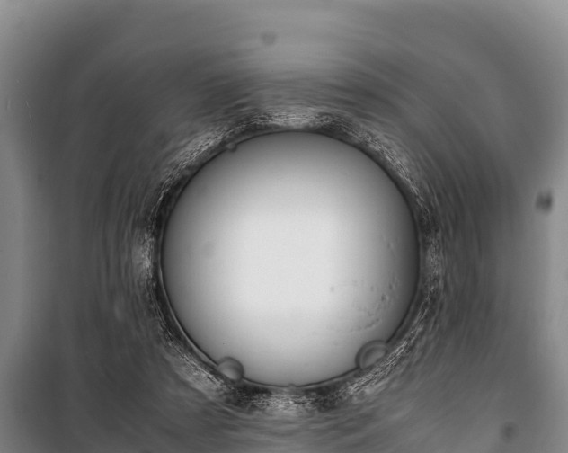 X0000100850305200806271142