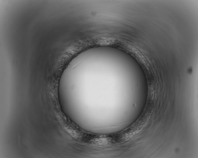 X0000100850307200806271142