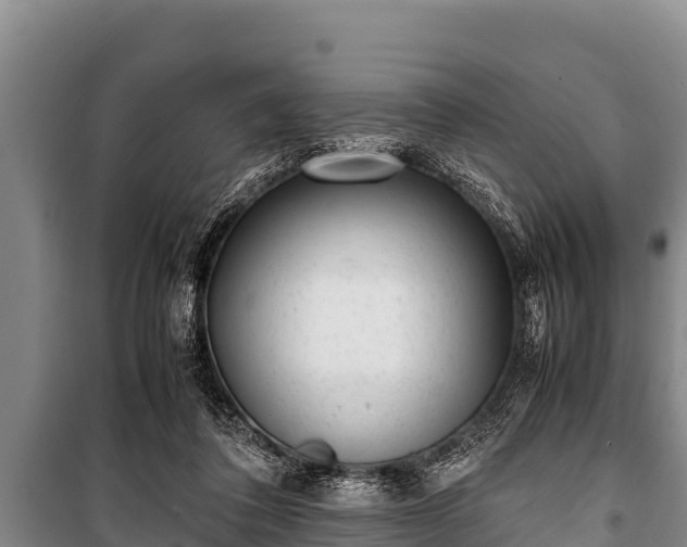 X0000100850308200806271142