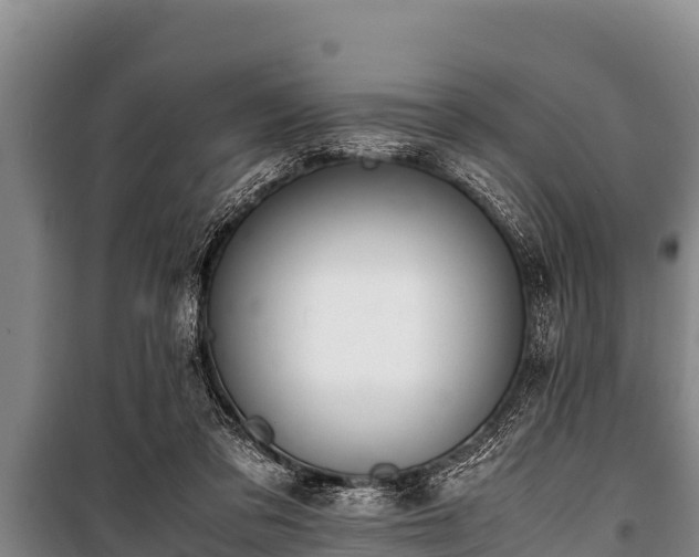 X0000100850309200806271142