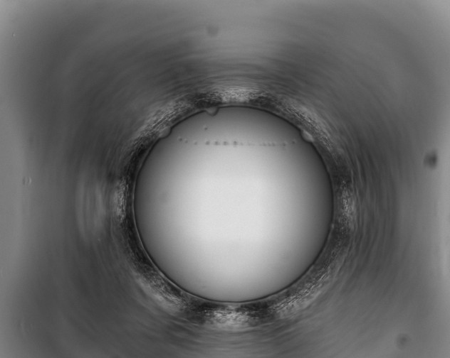 X0000100850311200806271142