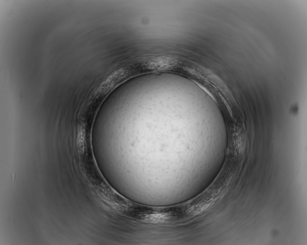 X0000100850312200806271142