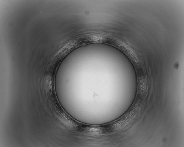 X0000100850313200806271142