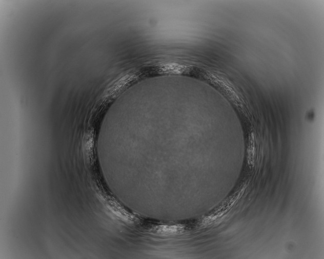 X0000100850314200806271142