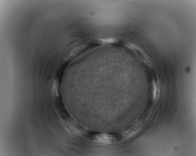 X0000100850316200806271142