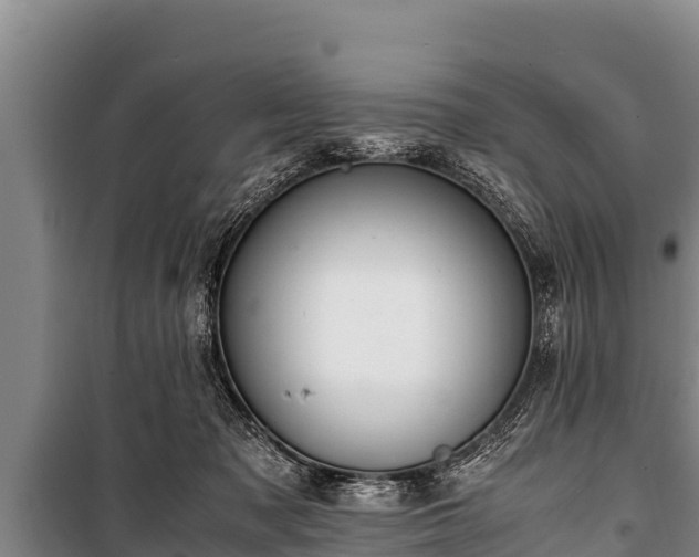 X0000100850317200806271142