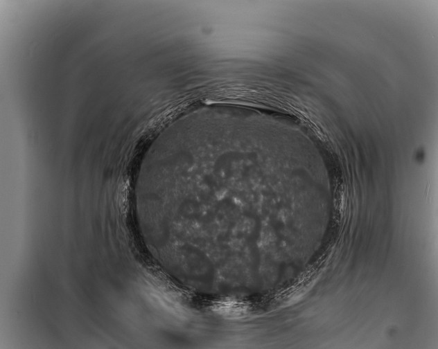 X0000100850319200806271142