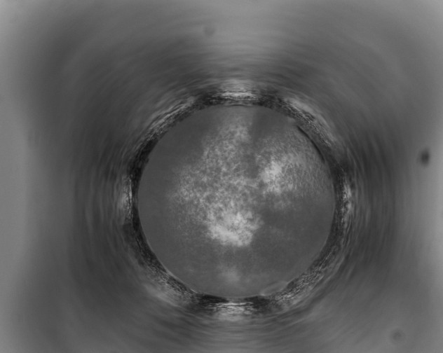 X0000100850320200806271141