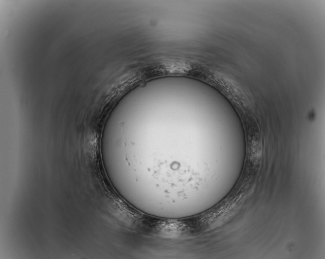 X0000100850321200806271141