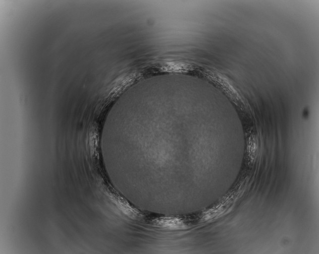 X0000100850322200806271141