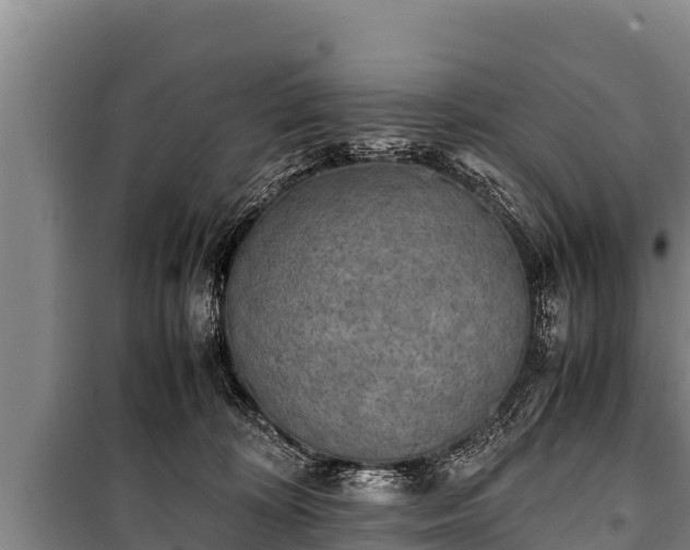 X0000100850324200806271141