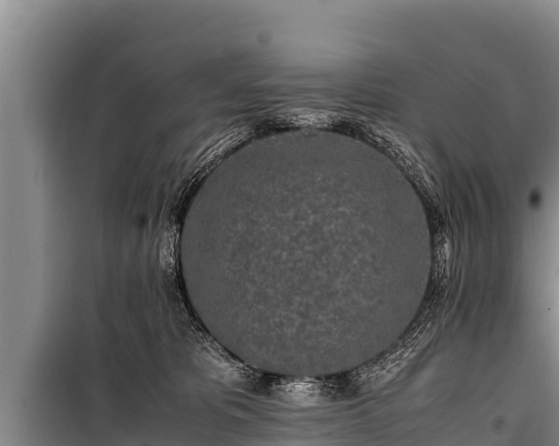 X0000100850325200806271141